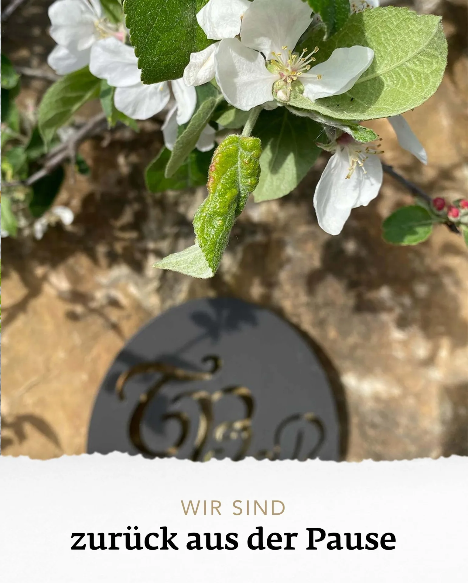 Schwaigerlehen – Berngarten — photo 71