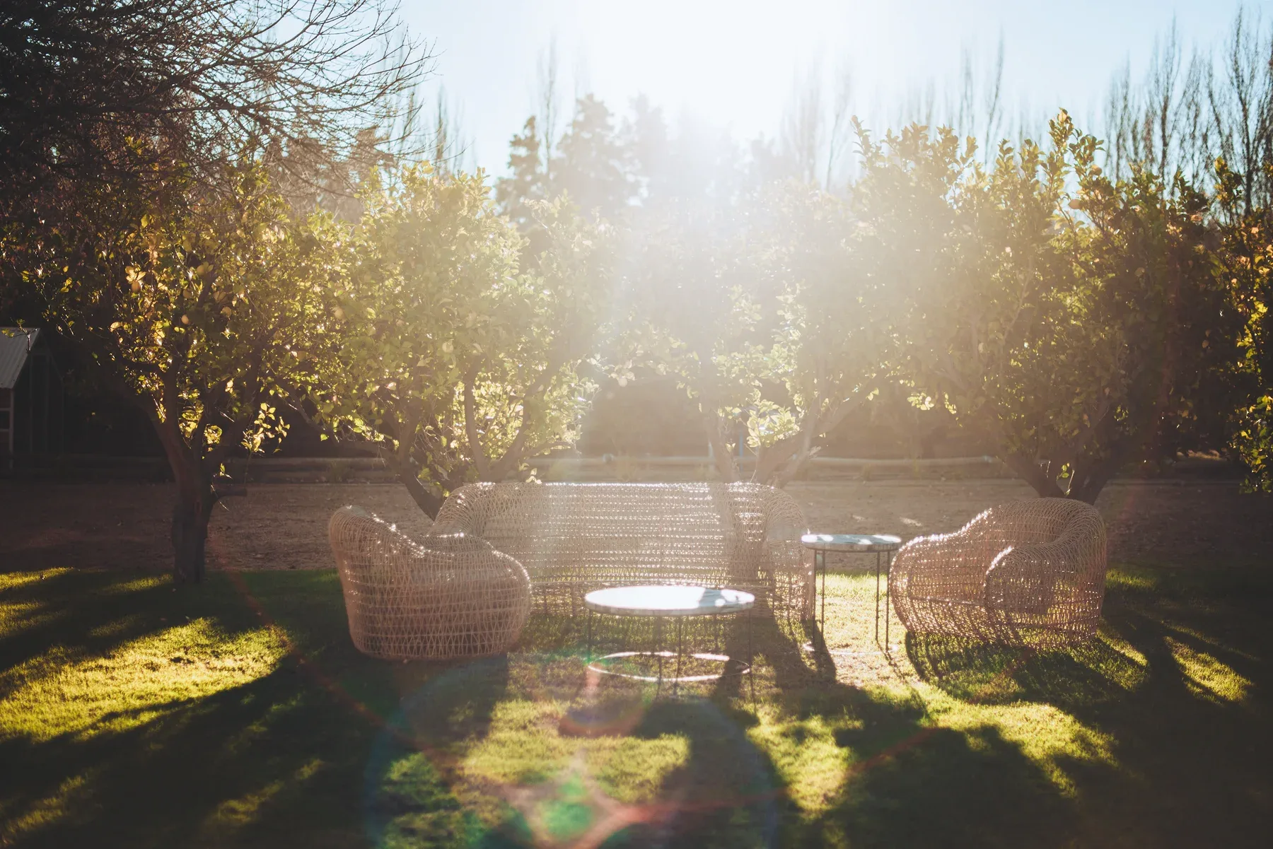 Chefs Warehouse - Maison Estate — photo 7