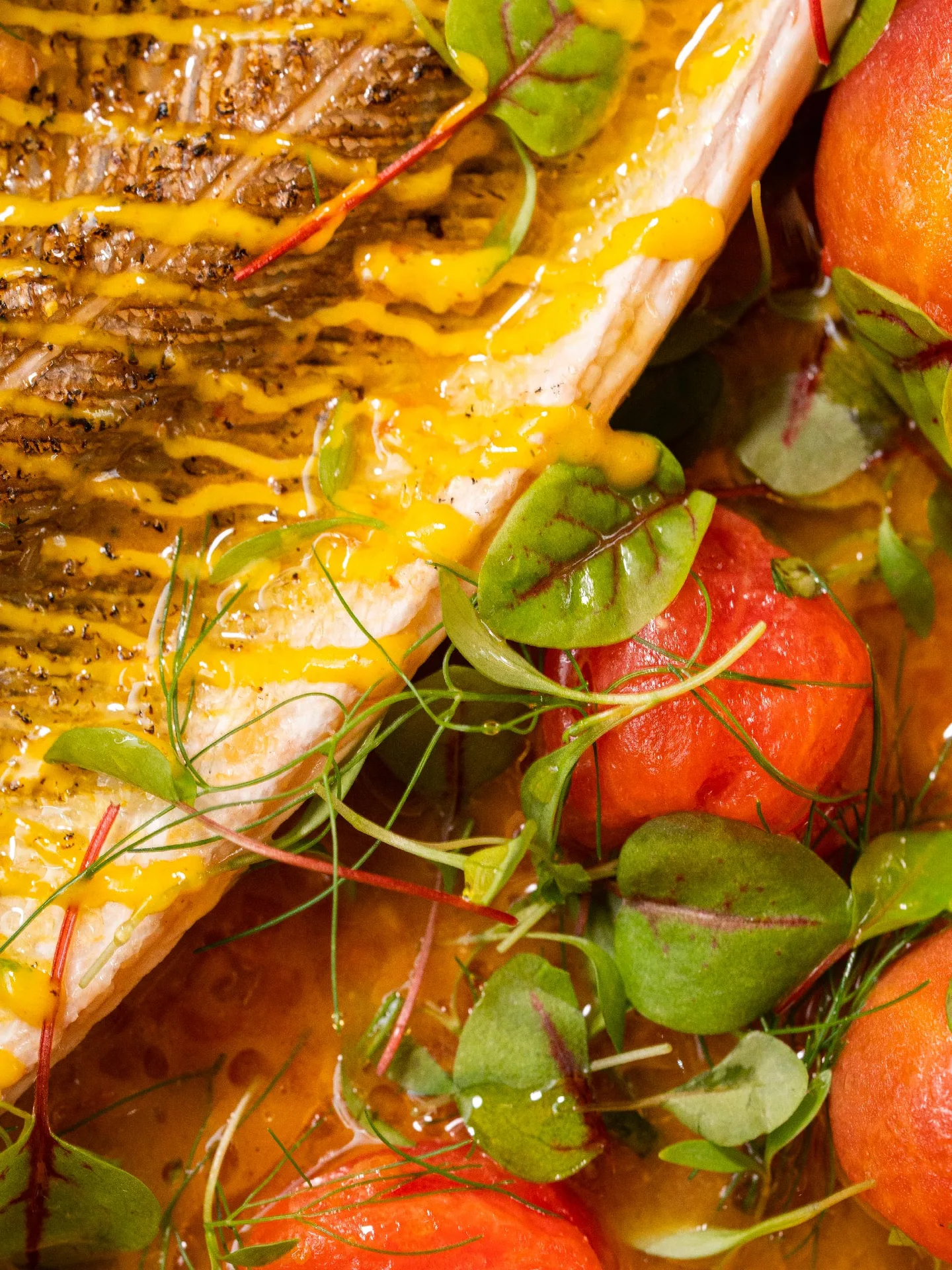 VIVE, Maison Mer — food