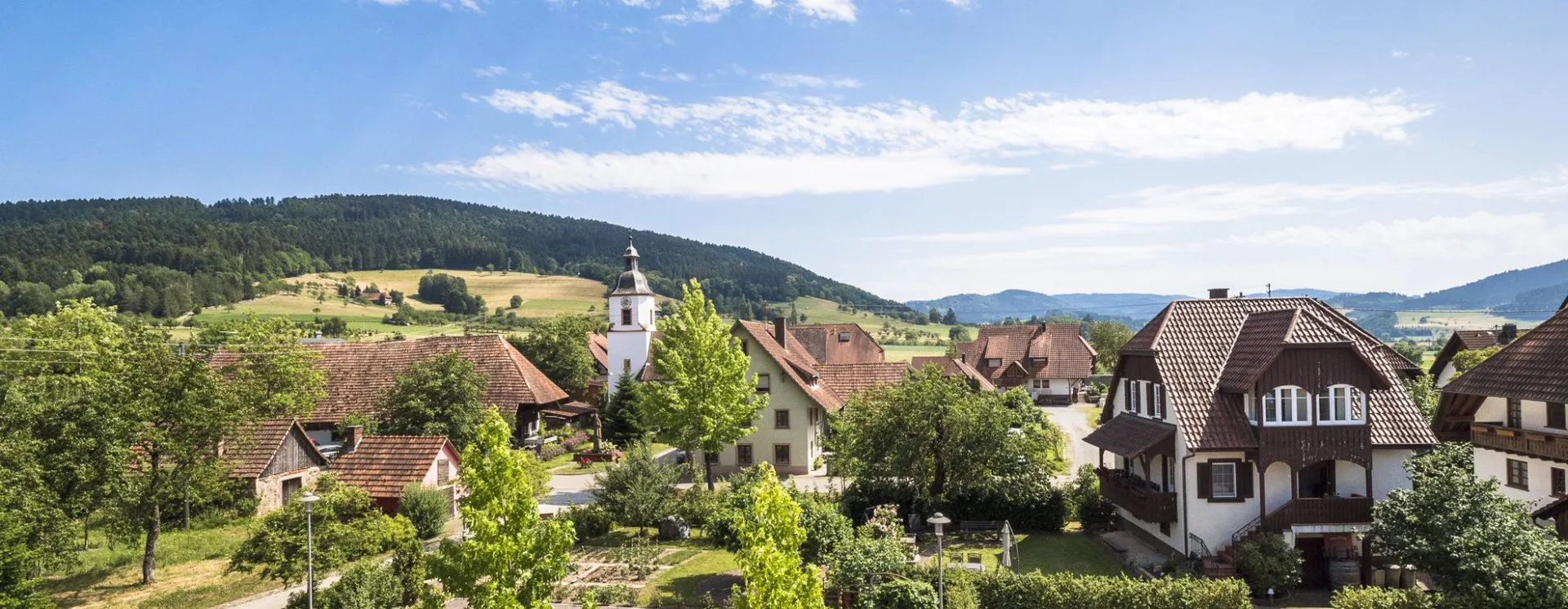 Gasthaus zum Pflug — photo 26