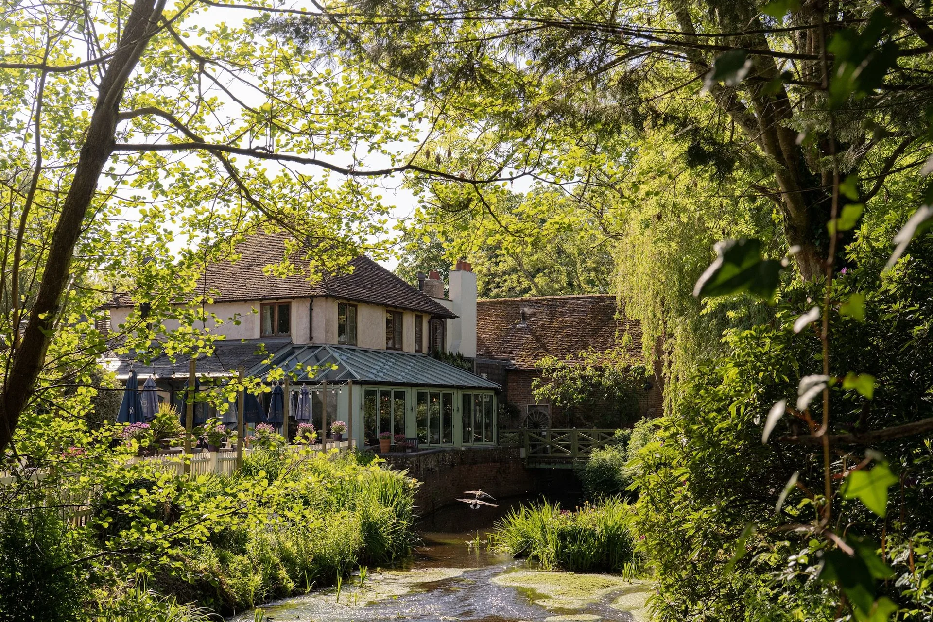 The Old Mill — photo 39