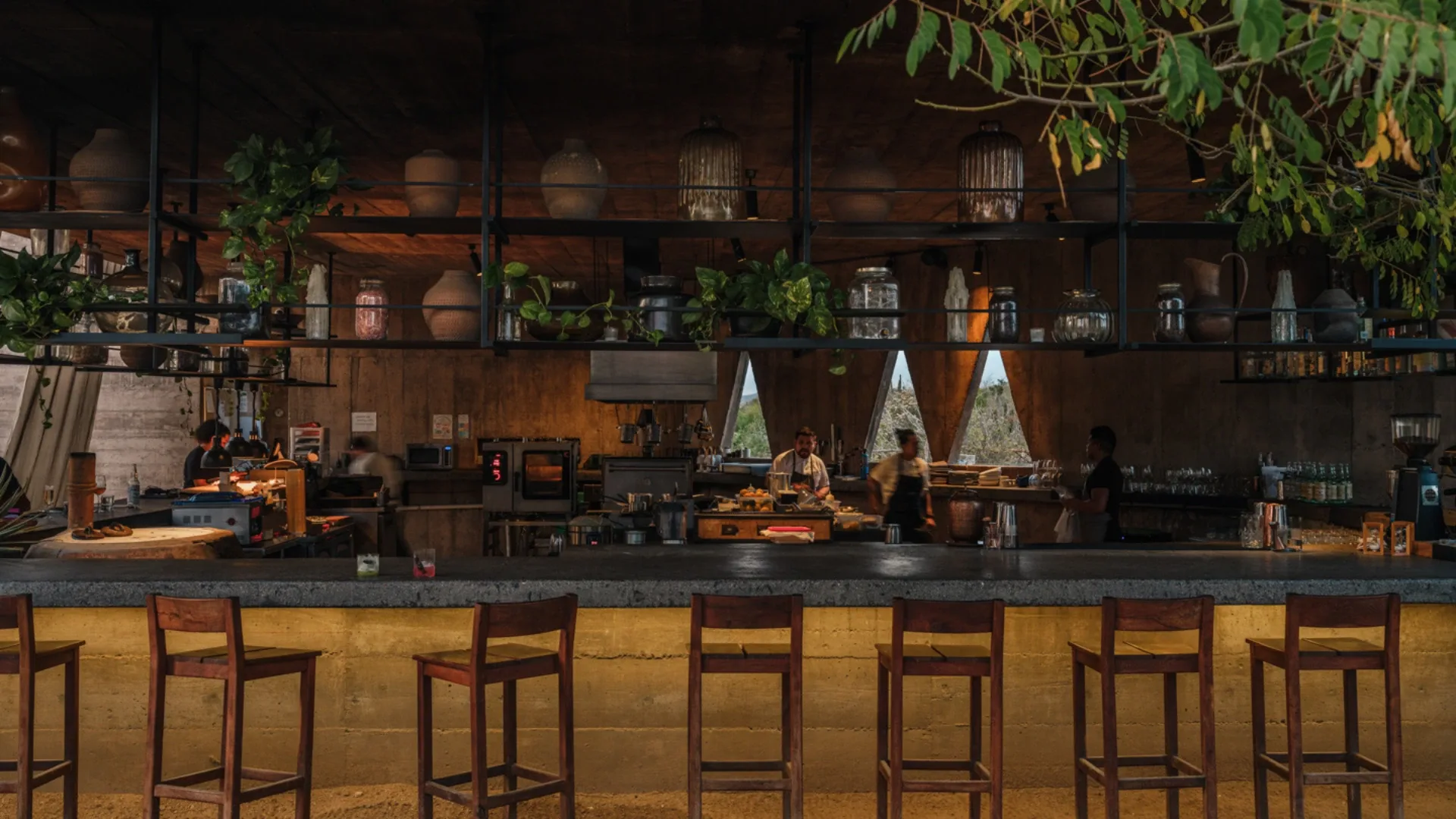 TENOCH by Paradero Todos Santos — photo 15