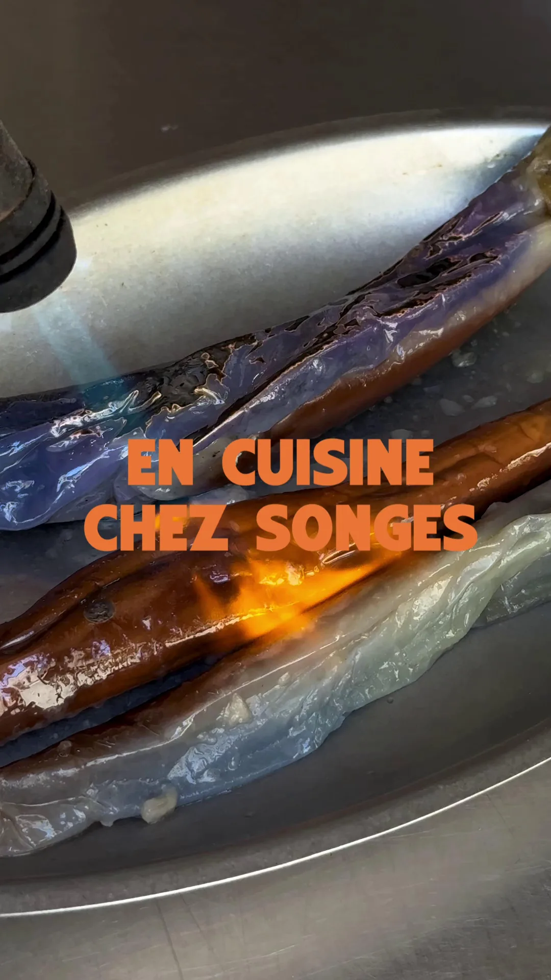 Songes — photo 12