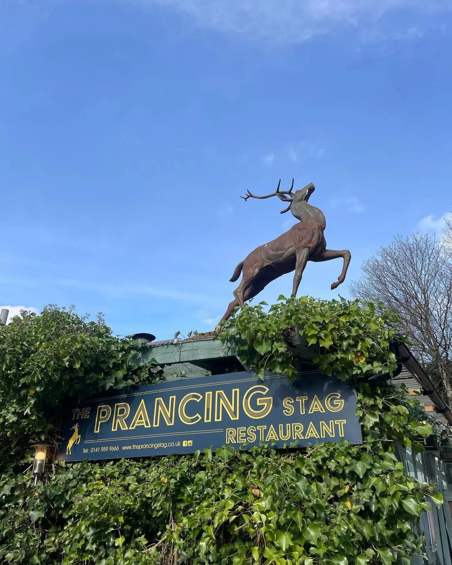 The Prancing Stag — photo 23