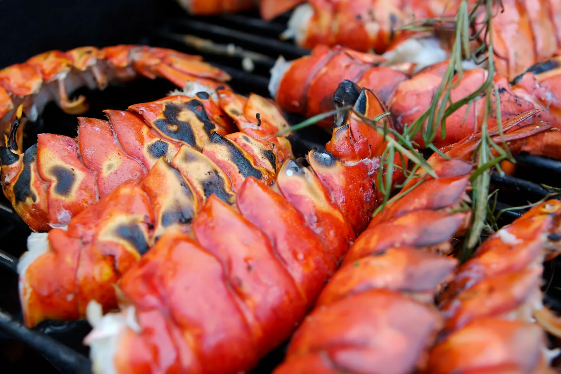 Giuseppe Grill Leblon — photo 45