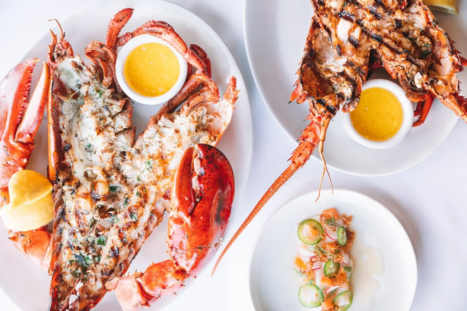 The Lobster — photo 12