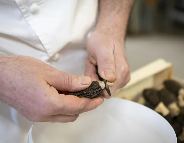 Le Vieux Logis — kitchen