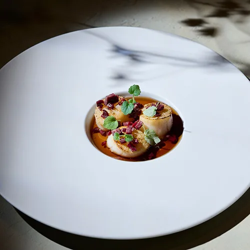 Biestro H-eat — photo 14