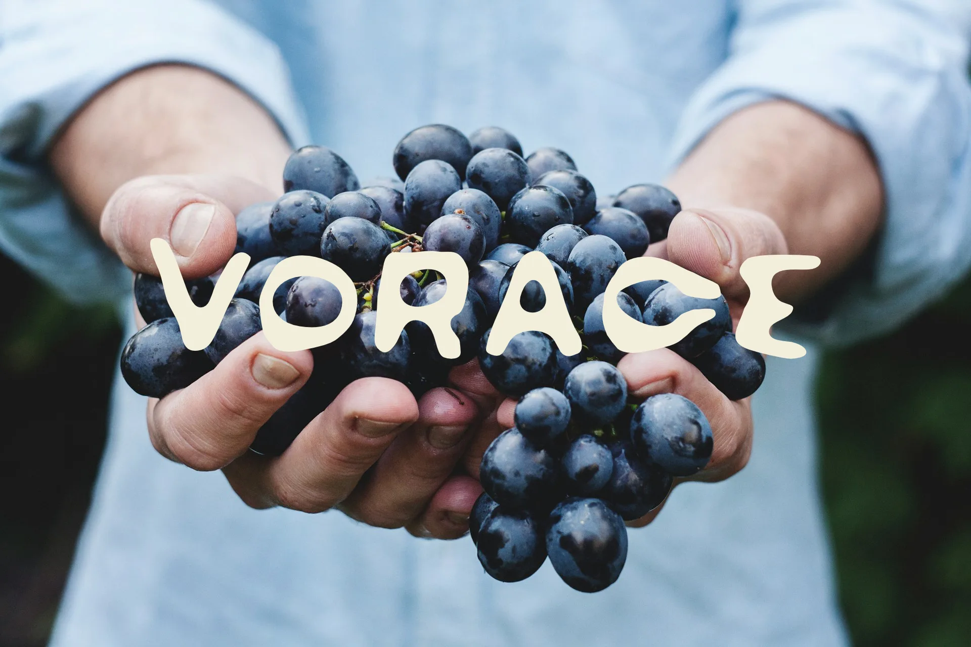 Vorace — photo 6