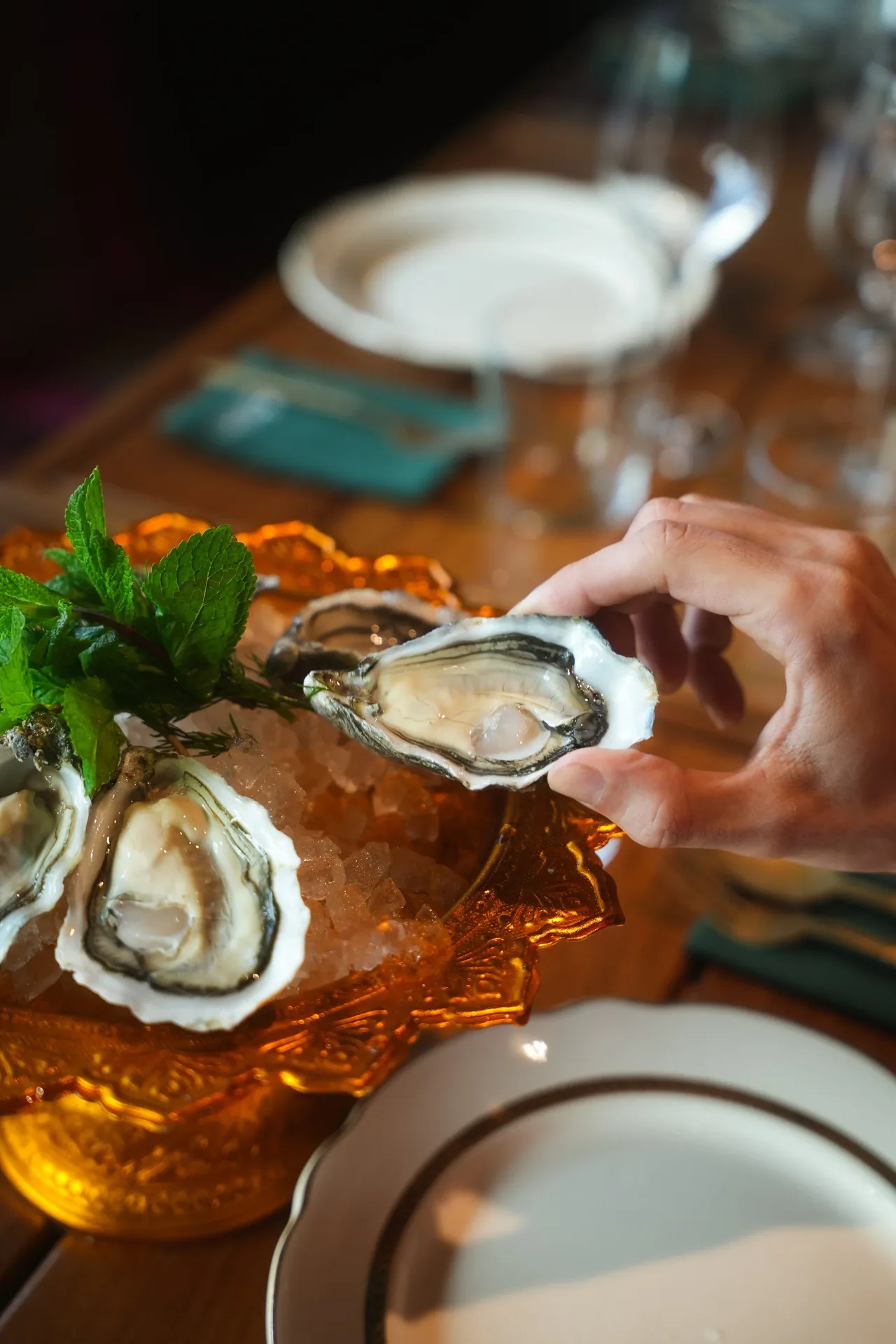 SUAHOY — photo 6