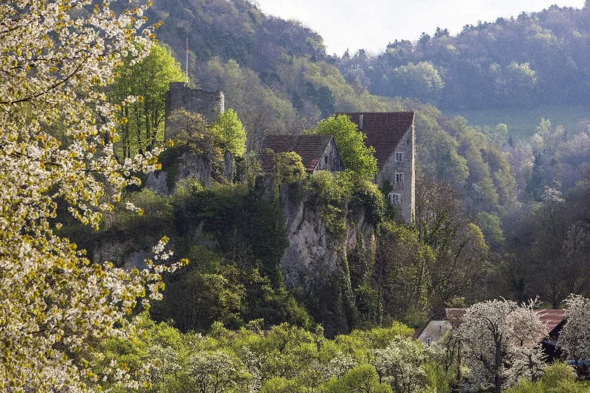 Château de Pleujouse — photo 26