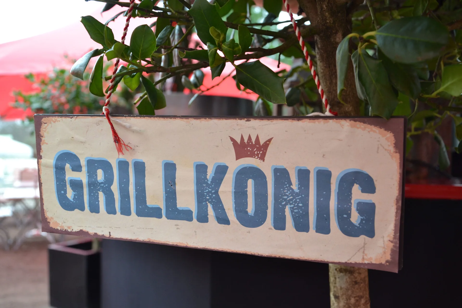 Schlosscafé im Palmenhaus — photo 86