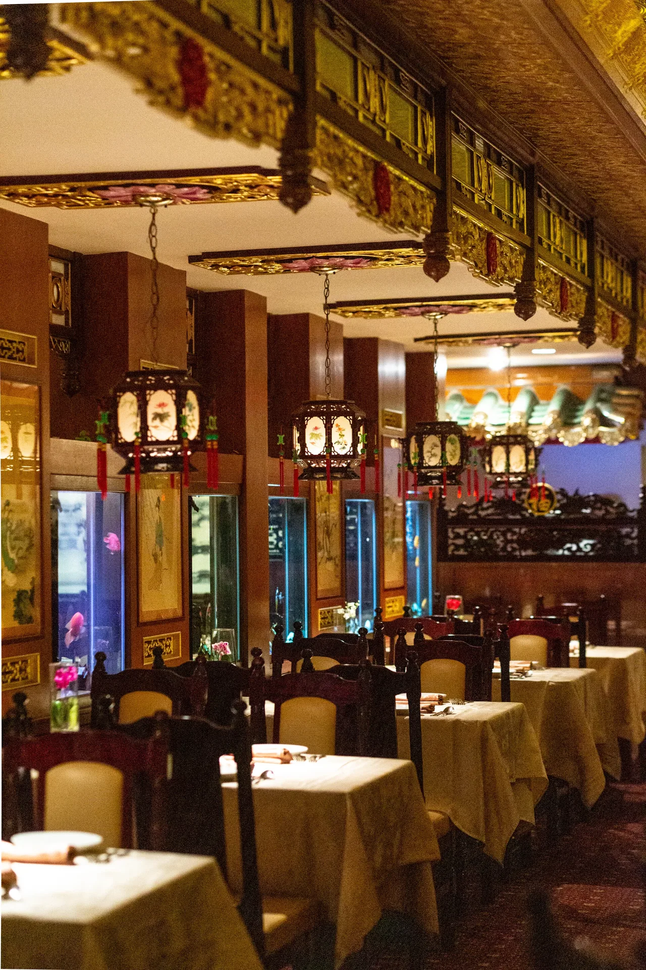 Hunan Taste — photo 22