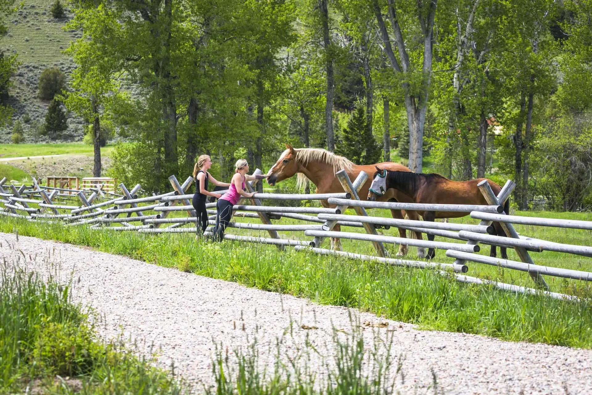 The Ranch at Rock Creek — photo 92