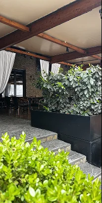 GRADSKA KAFANA — photo 24