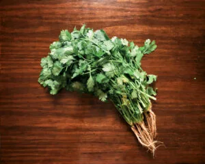 Lamelas — food