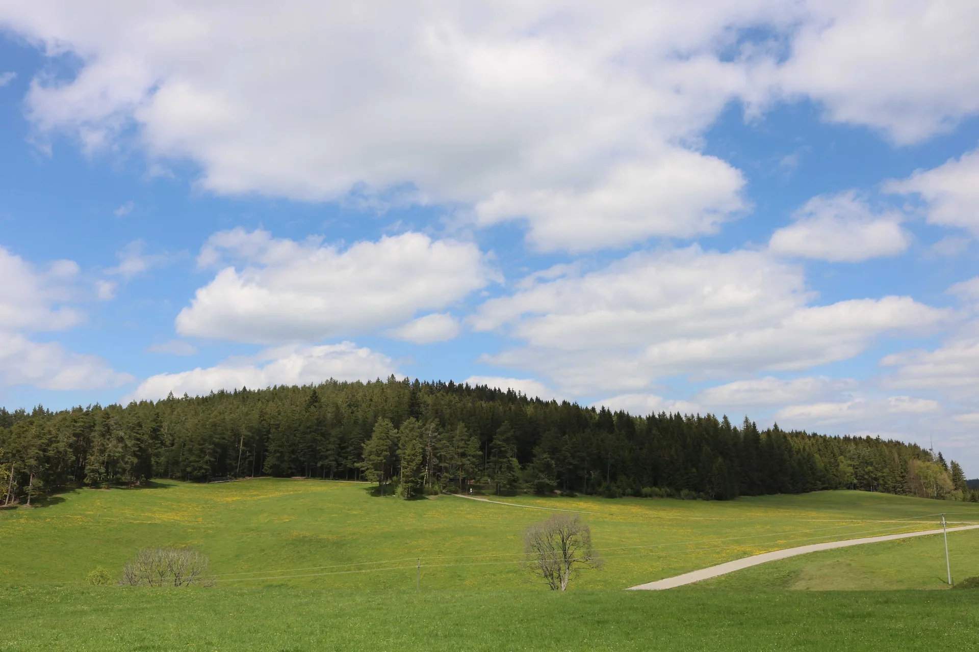 Gasthaus Staude — photo 24