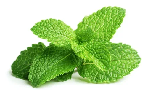 Mint Premium Foods — photo 6