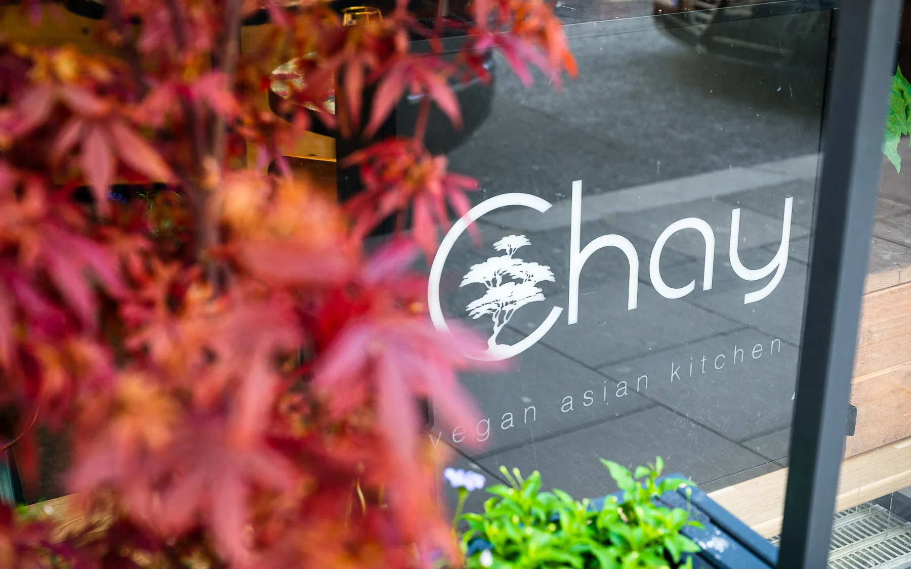 Chay Vegan Hamburg — photo 5