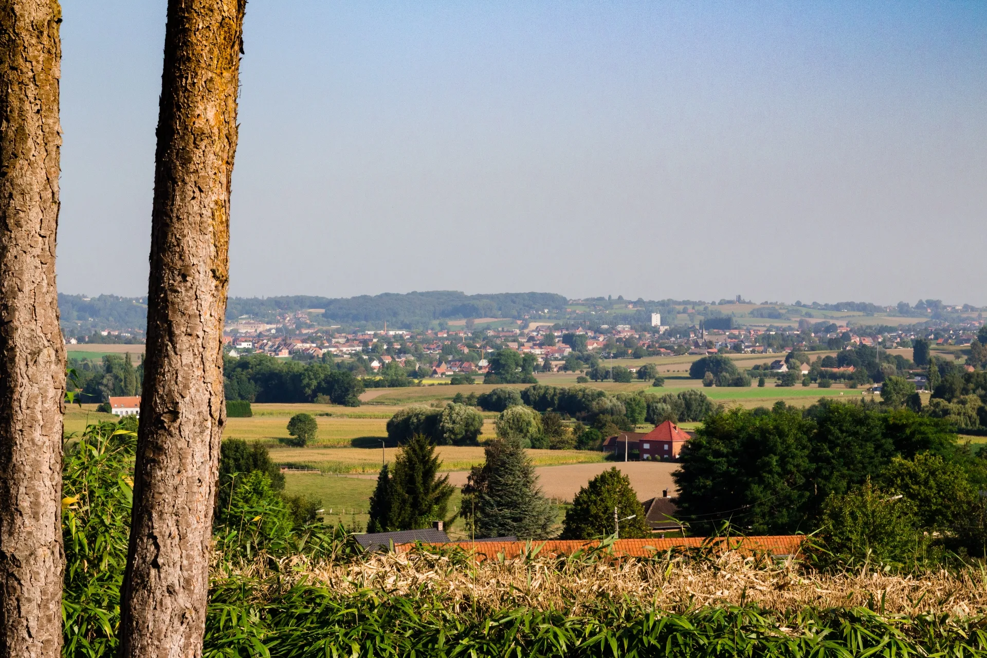 Vertes Feuilles, Ronse