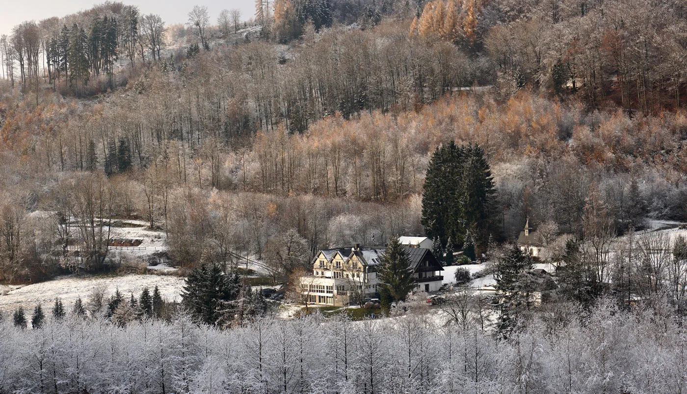 Waldhotel Schinkenwirt — photo 22
