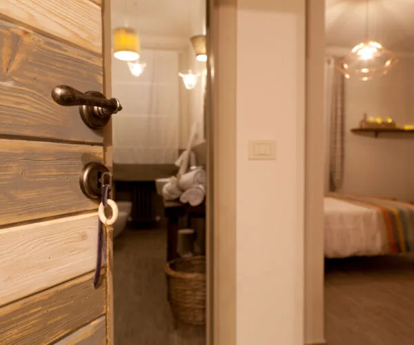 Stella — photo 8