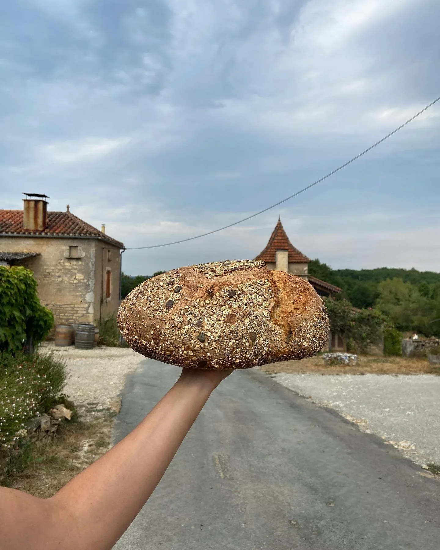 Les Dodus — photo 12