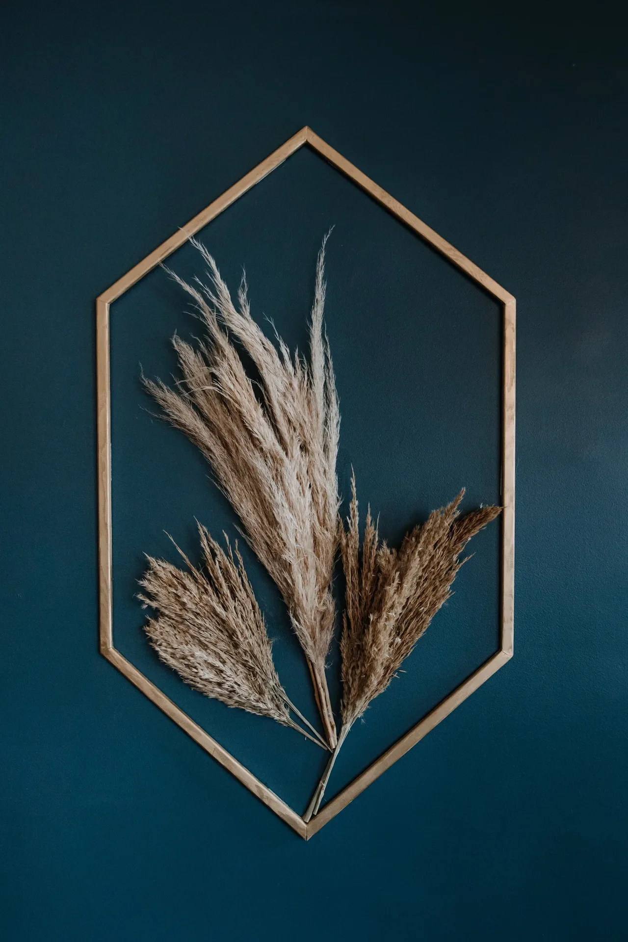 Folke — photo 14