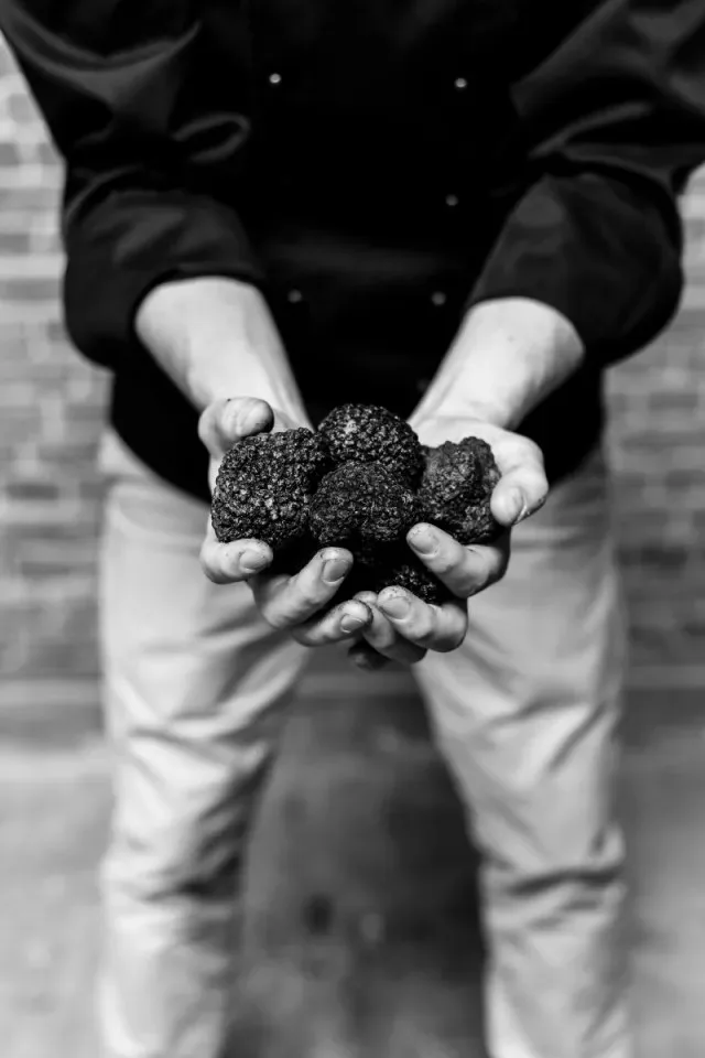 Entrepot del Tartufo — photo 25