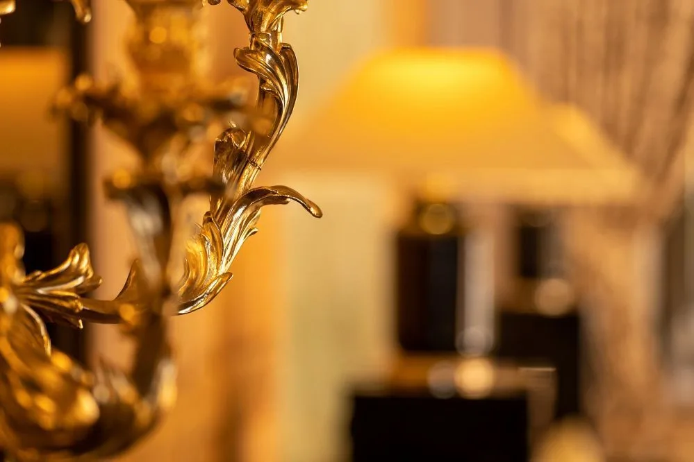 Grand Hôtel du Lion d'Or — photo 11