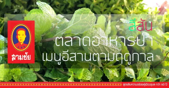 Krua Samchai — photo 24