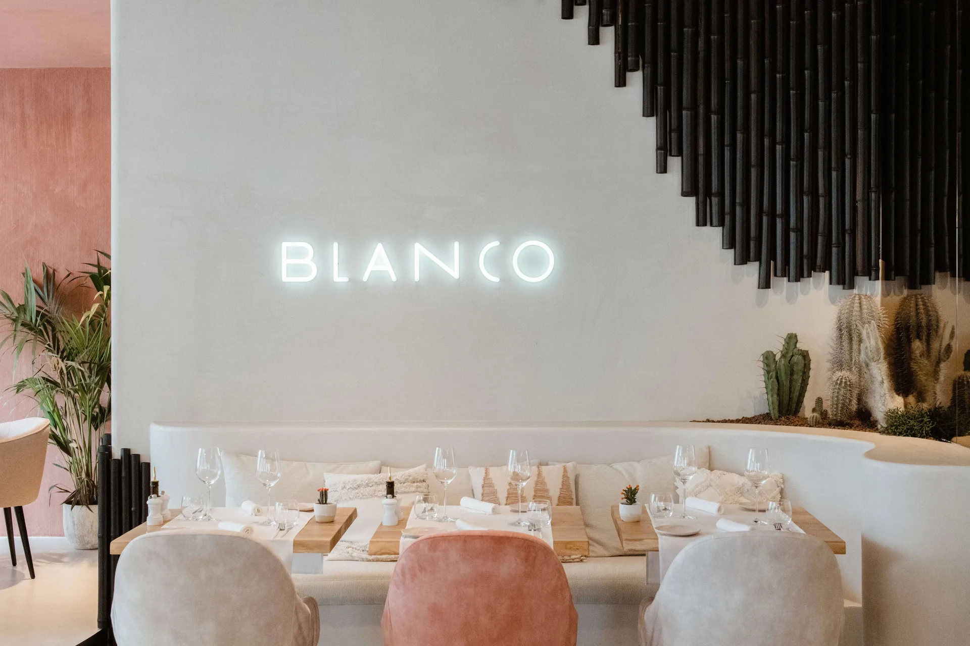 Blanco — photo 46