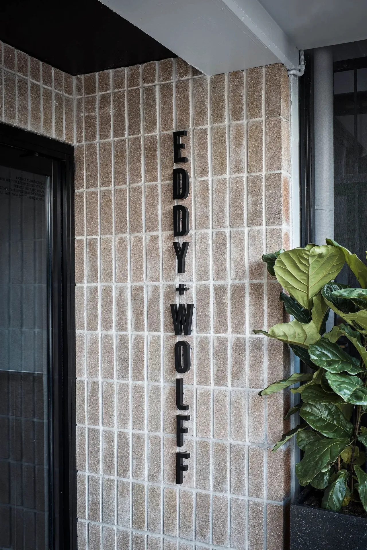 Eddy + Wolff — photo 28