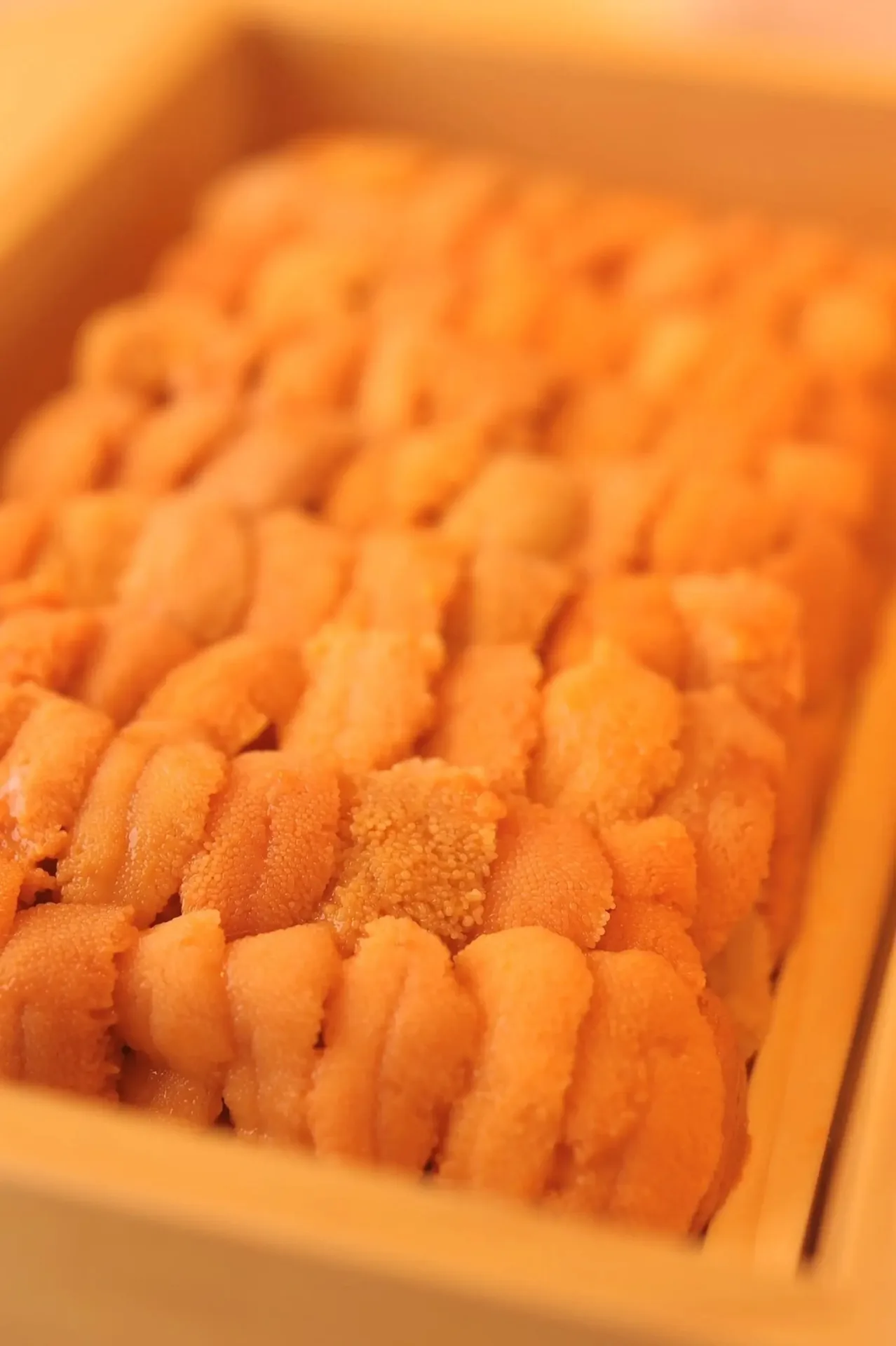 Sushi Miura — photo 8
