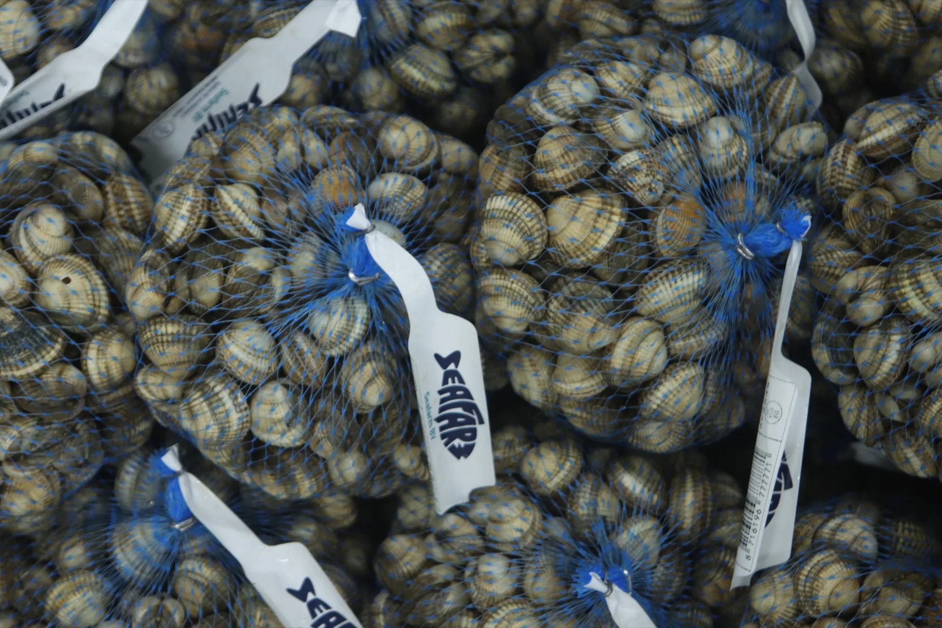 Seafarm — photo 12