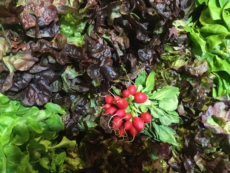 Nancy Bourguignon — photo 18