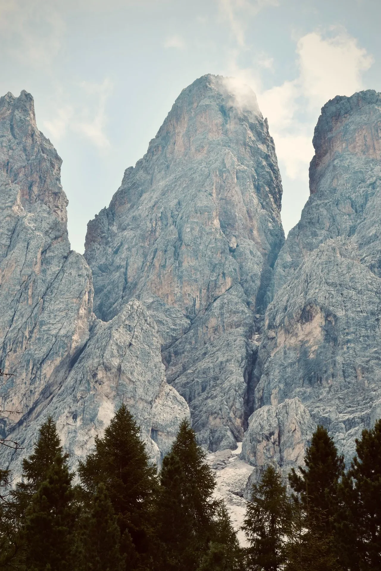 Carlino — photo 11