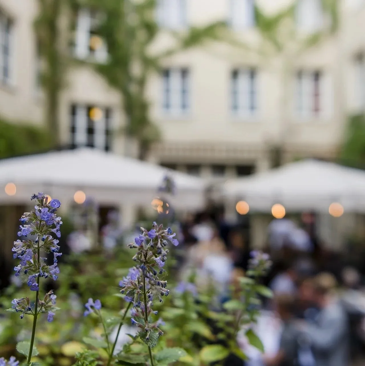 Restaurant ALvis — photo 15
