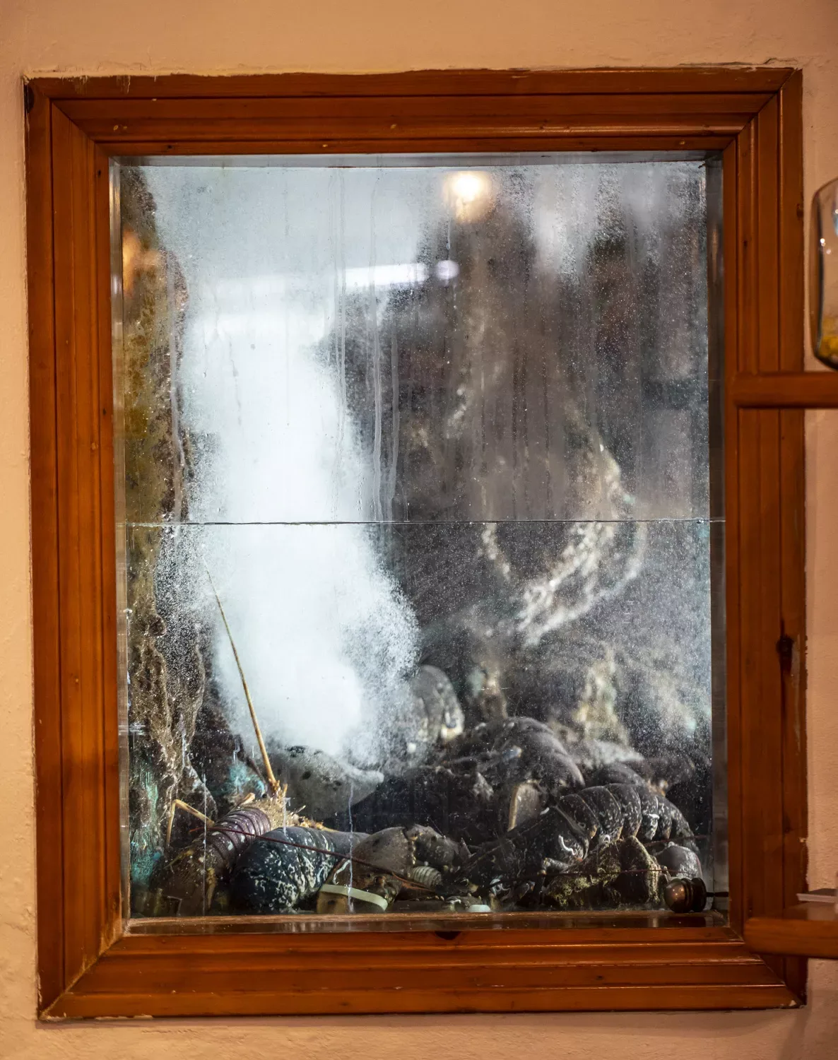 Tasca del Puerto — photo 106