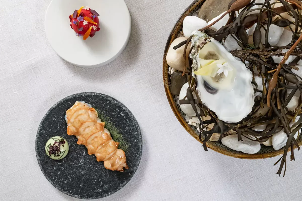 Olo Restaurant — photo 20