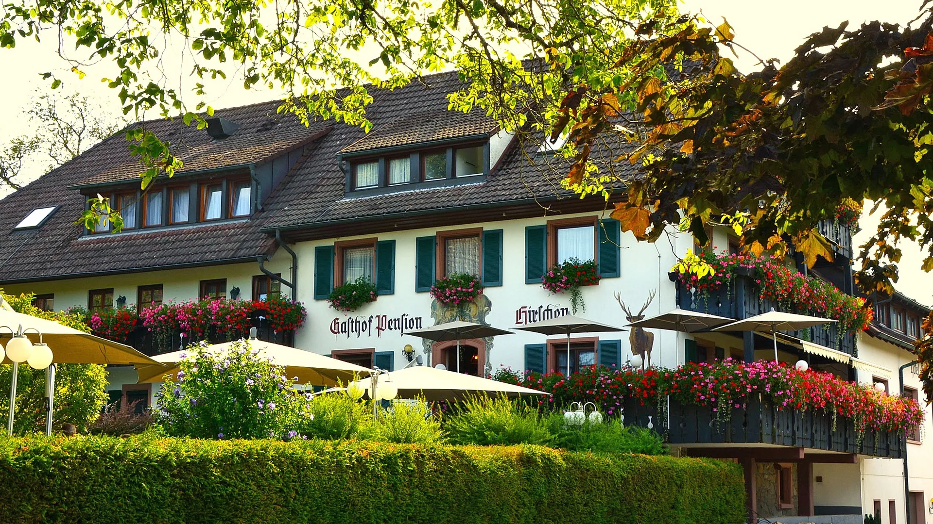 Gasthof Hirschen — photo 39