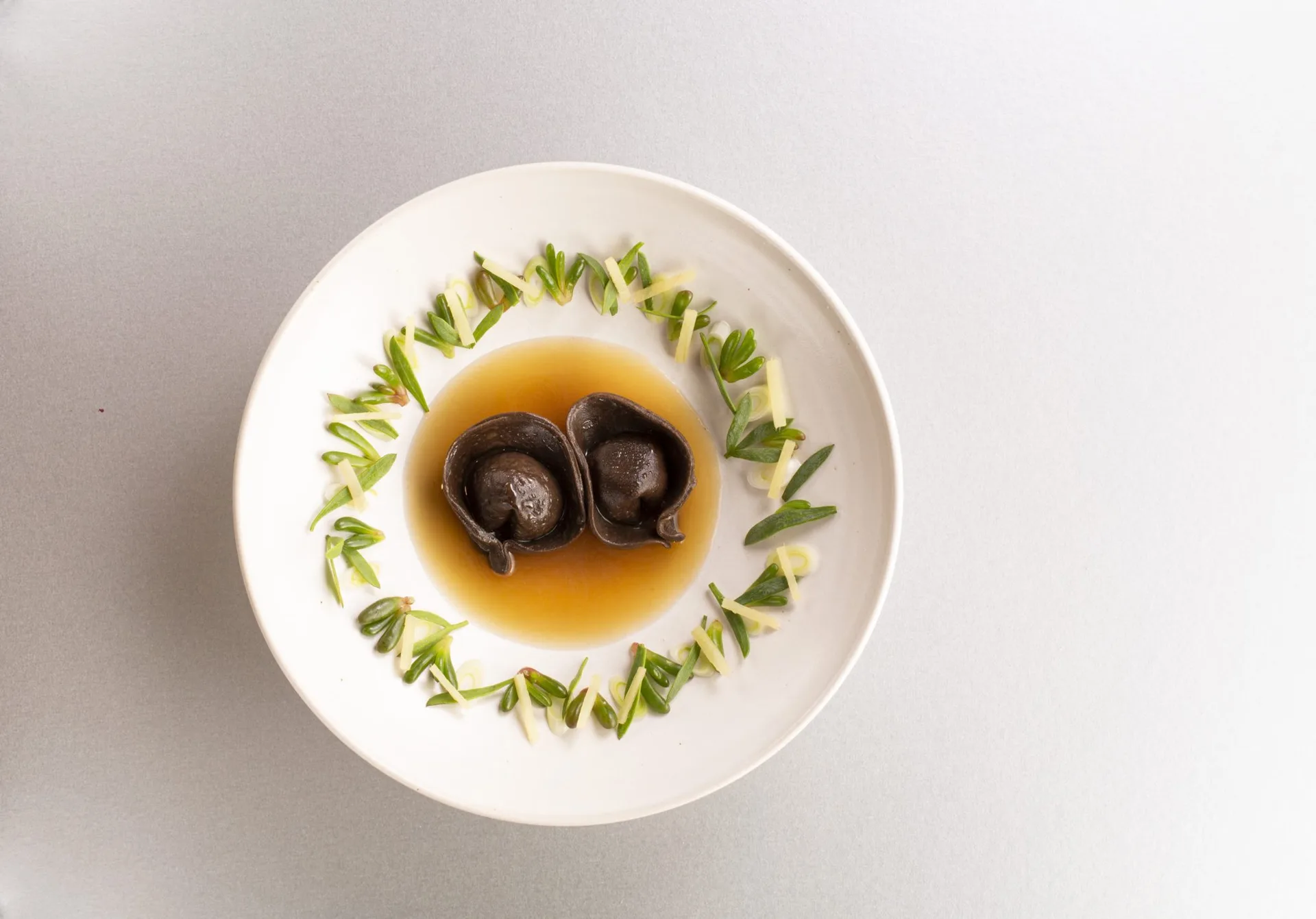 Olive Tree — photo 54