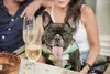 MAD Wine Bar — kitchen