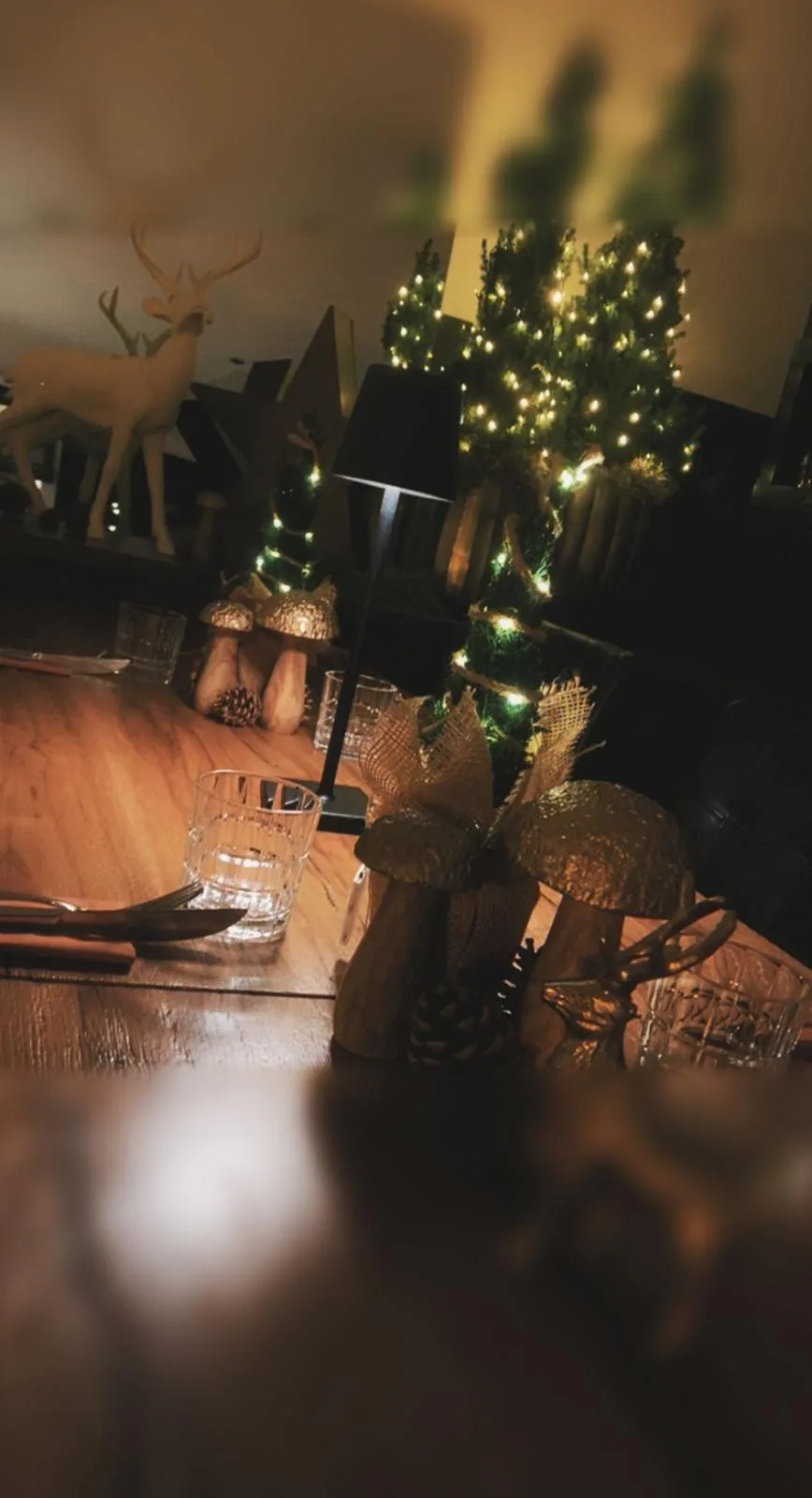 Restaurant Sonderbar — photo 5