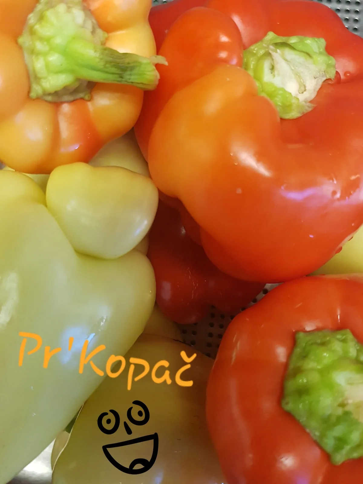 Gostilna Pr'Kopač — photo 57