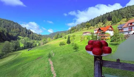 Wellnesshotel Tanne — photo 4