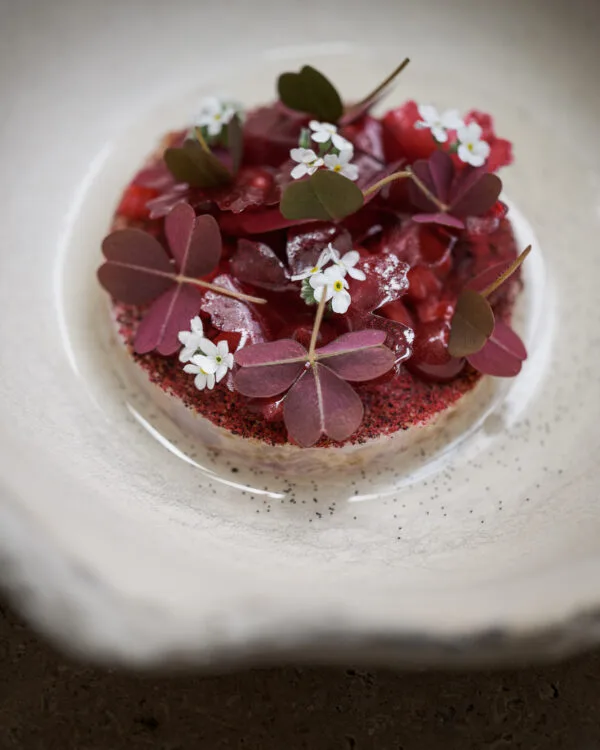 Hertog Jan at Botanic — photo 6