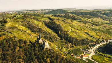 Weingut Nigl — photo 31