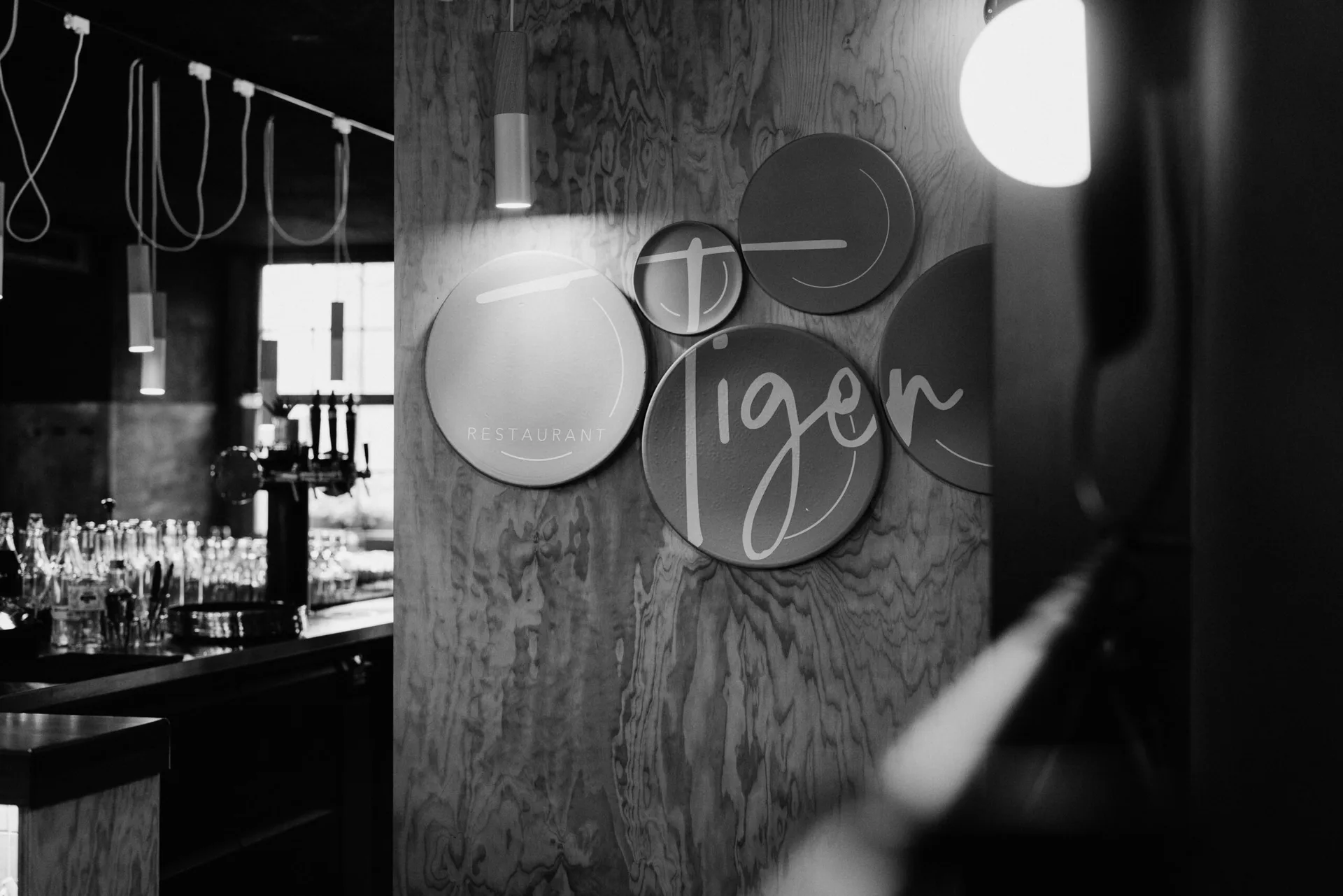 Tiger — photo 25