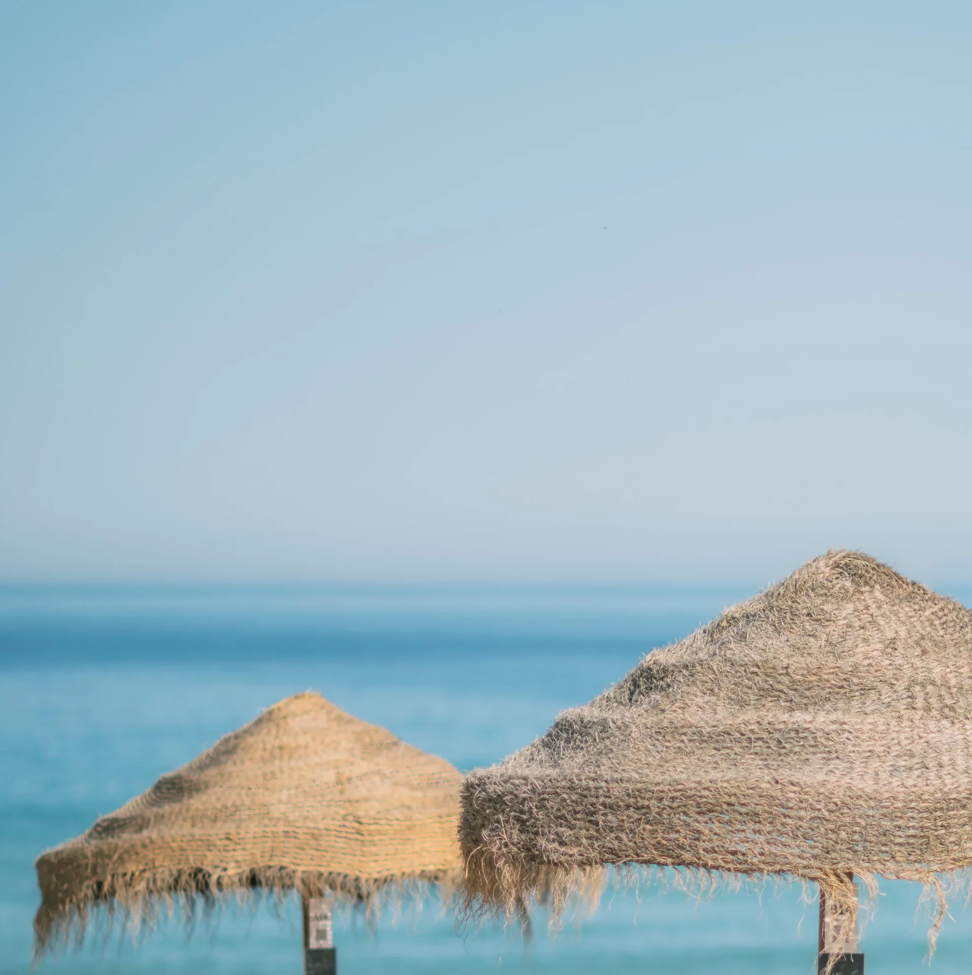Sublime Comporta Beach Club — photo 19
